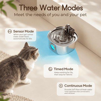 The Cat Fountain™ Health Bundle - Wireless